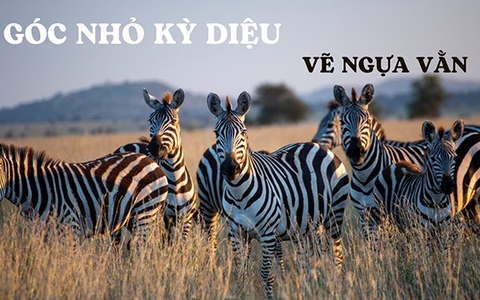 Góc nhỏ kỳ diệu - tập 124