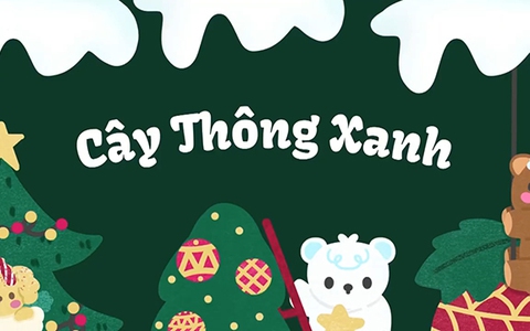 Những điều thú vị về cây thông xanh