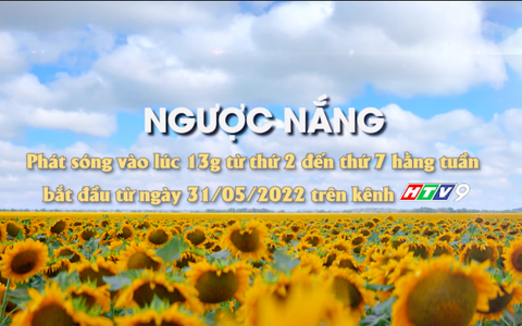 Giới thiệu phim "Ngược nắng"
