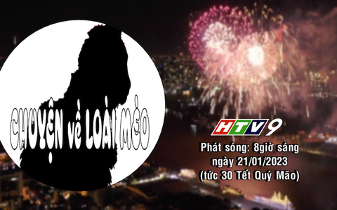 Giới thiệu phim tài liệu "Chuyện về loài mèo" - 30 Tết trên HTV9