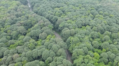 Những cung đường Marathon tuyệt đẹp ở phía Đông TP. Hồ Chí Minh