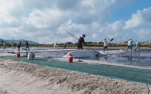 Mùa muối "mặn"