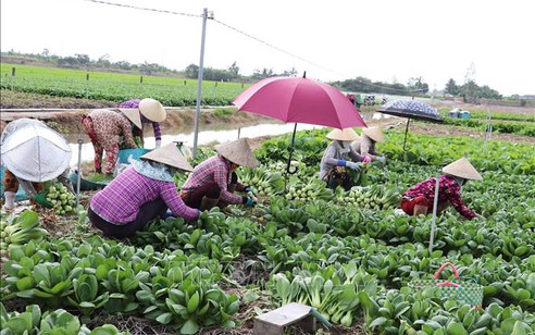 Hơn 51.000 lượt hộ nghèo được vay vốn tín dụng chính sách