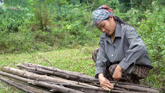 Mái ấm gia đình Việt - Tập 49: Điểm tựa của mẹ!