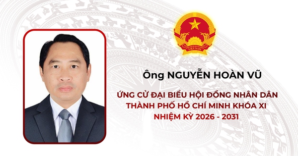 Tóm tắt tiểu sử ông Nguyễn Hoàn Vũ ứng cử Hội đồng nhân dân TP. Hồ Chí Minh Khóa XI