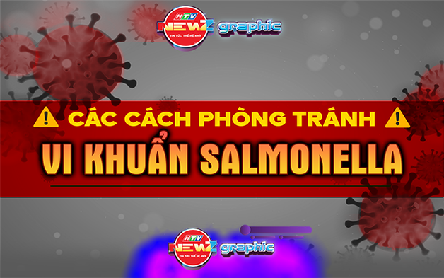 NewZgraphic: Ngộ độc do vi khuẩn Salmonella - Cảnh báo từ bữa ăn quen thuộc