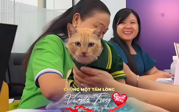 Mèo Mika “trưởng chuồng gấu” của Thảo Cầm Viên ủng hộ 80 triệu đồng cho đồng bào lũ lụt miền Trung