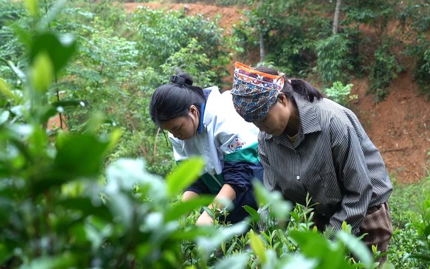 Em Hòa vượt nghịch cảnh, chăm mẹ và anh trai bệnh tâm thần - Mái ấm gia đình Việt