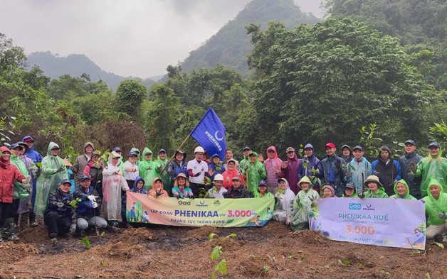 Trồng rừng đầu nguồn hướng tới giảm rủi ro thiên tai và biến đổi khí hậu