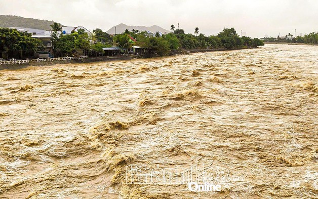 Khánh Hòa: Một số địa phương vùng trũng thấp tiến hành di dời dân