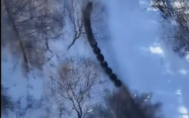 Trung Quốc: Thử cảm giác mạnh tại công viên thế giới băng tuyết