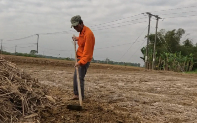 Chậm trễ phục hồi đất sau lũ: Người dân Gò Nổi kêu cứu