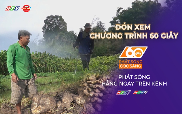 60 Giây ngày 29/1/2026 | An Giang: Nông dân trồng khoai mỡ lãi cao nhờ được bao tiêu đầu ra