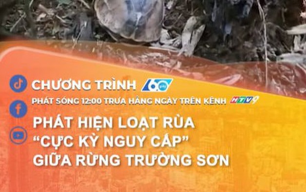 Phát hiện loạt rùa “cực kỳ nguy cấp” giữa rừng Trường Sơn