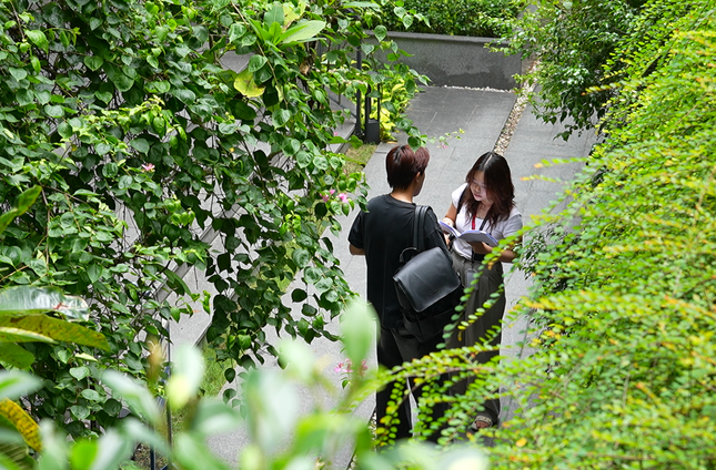 Hiện thực hóa giấc mơ Đại học xanh tại TP Hồ Chí Minh