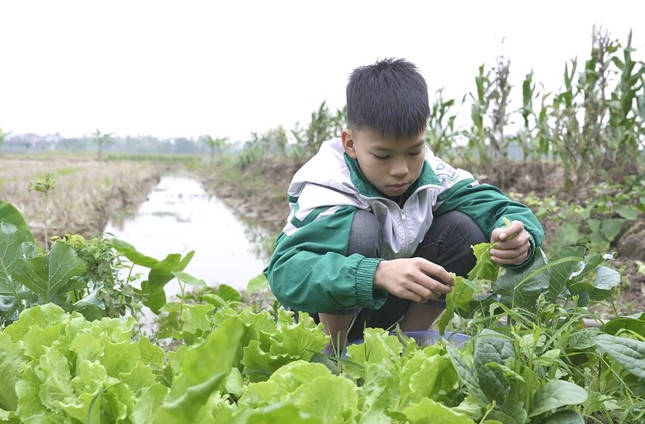 Mái ấm gia đình Việt: Chị em Minh Dương sớm tự lập vì mất cha, mẹ bệnh nặng