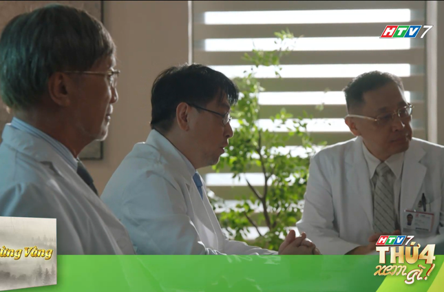 Rừng vàng - 21g thứ Tư (12/8) trên HTV7