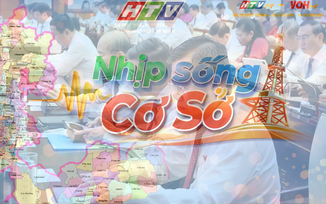Nhịp sống cơ sở: HĐND TP. Hồ Chí Minh thông qua 53 nghị quyết chuyên đề, ưu tiên chăm lo an sinh xã hội