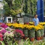 Mùa hoa Tết tại TP.Hồ Chí Minh: đa dạng mẫu mã, giá từ 70 nghìn đồng