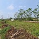 Ủy ban Thường vụ Quốc hội cho ý kiến về dự án Luật Đất đai (sửa đổi)