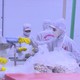 TP. Hồ Chí Minh hỗ trợ doanh nghiệp tận dụng CEPA mở rộng thị trường xuất khẩu