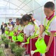 Tân Mỹ Xanh: Để học sinh học cách sống xanh từ thực tiễn