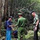 Bắc Ninh: Giải cứu kịp thời hai du khách lạc trong rừng sâu Tây Yên Tử
