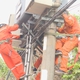 TP. Hồ Chí Minh đảm bảo cung cấp điện an toàn, liên tục dịp lễ 30/4 – 1/5