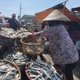 Ngư dân Long Hải rộn ràng mùa khai thác cá trích