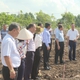 TP. Hồ Chí Minh sẽ trồng thêm 500 cây xanh tại xã Bình Lợi