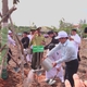 TP. Hồ Chí Minh trồng 503 cây xanh tại Công viên văn hóa Láng Le, lan tỏa phong trào “Thành phố muôn sắc hoa”