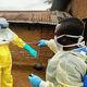 Bộ Y tế hỏa tốc yêu cầu phòng chống bệnh do vi rút Ebola, theo dõi người về từ vùng dịch