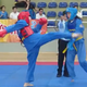Vovinam và bệ phóng mới từ kỳ Đại hội TDTT TP. Hồ Chí Minh 2026