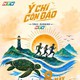 Khai phá "Ý chí Côn Đảo": Giải chạy trail mang hào khí lịch sử của HTV