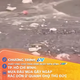 TP. Hồ Chí Minh: Mưa đầu mùa gây ngập, rác dồn ứ quanh chợ Thủ Đức