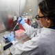Argentina: Điều tra nguồn gốc ổ dịch virus Hanta