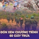 60 Giây Trưa ngày 23/6/2026 | Giá heo hơi hôm nay (23/6): tiếp tục điều chỉnh giảm.