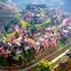 Banyan Group ra mắt chiến dịch "Vietnam For Every Season", quảng bá vẻ đẹp Việt Nam bốn mùa