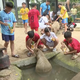 Ước mơ sân cỏ: Một mùa hè đáng nhớ