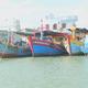 TP. Hồ Chí Minh quyết liệt gỡ “thẻ vàng” IUU