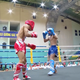Hơn 400 võ sĩ tranh tài tại Giải vô địch Kickboxing quốc gia