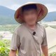 Phường Xuân Hương - Đà Lạt lý giải việc xử phạt 35 triệu với người chặt cây thông tại vườn nhà