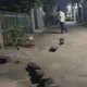 TP. Đồng Nai: Án mạng nghiêm trọng, 3 người chết, một người nguy kịch